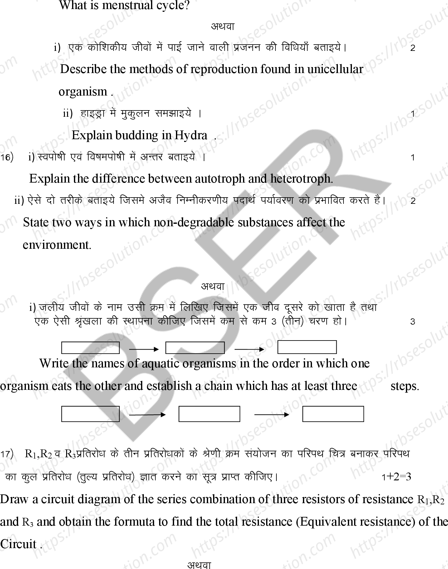 RBSE Class 10th 2025 Science Sample Papers 10