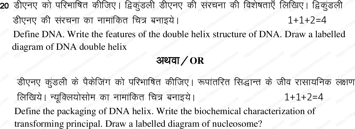 RBSE Class 12th 2022 Biology Model Papers Sample Papers 5