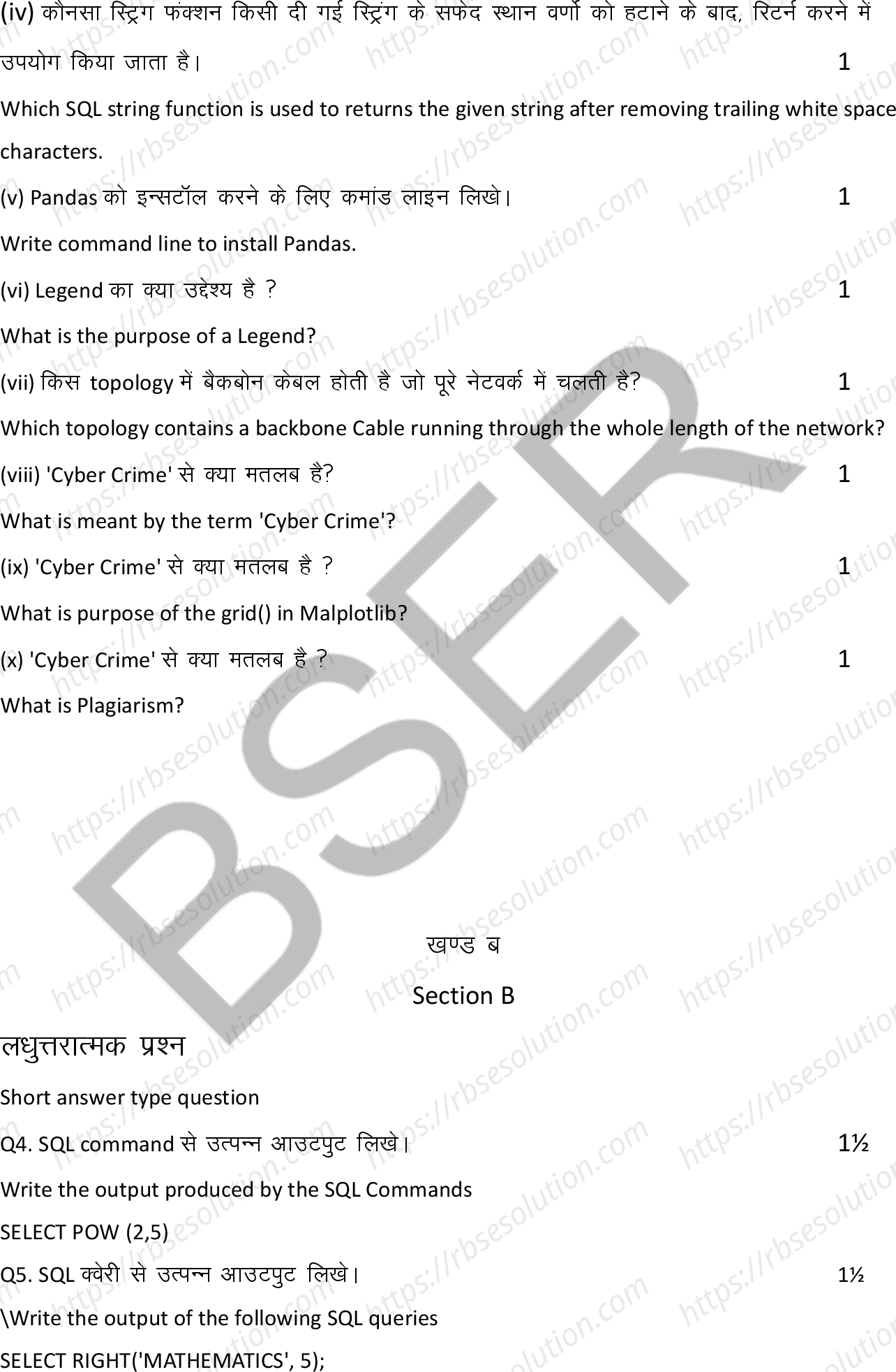 RBSE Class 12th 2025 Informatics Practices Sample Papers 8