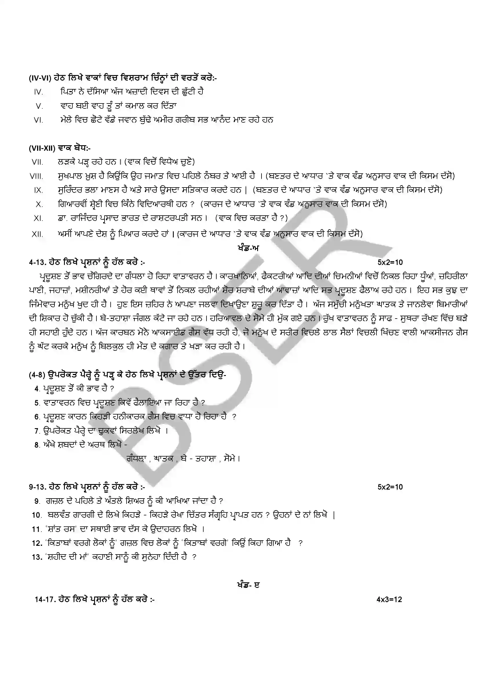 RBSE Class 12th 2025 Punjabi Literature (Opt. Subject) Sample Papers 6