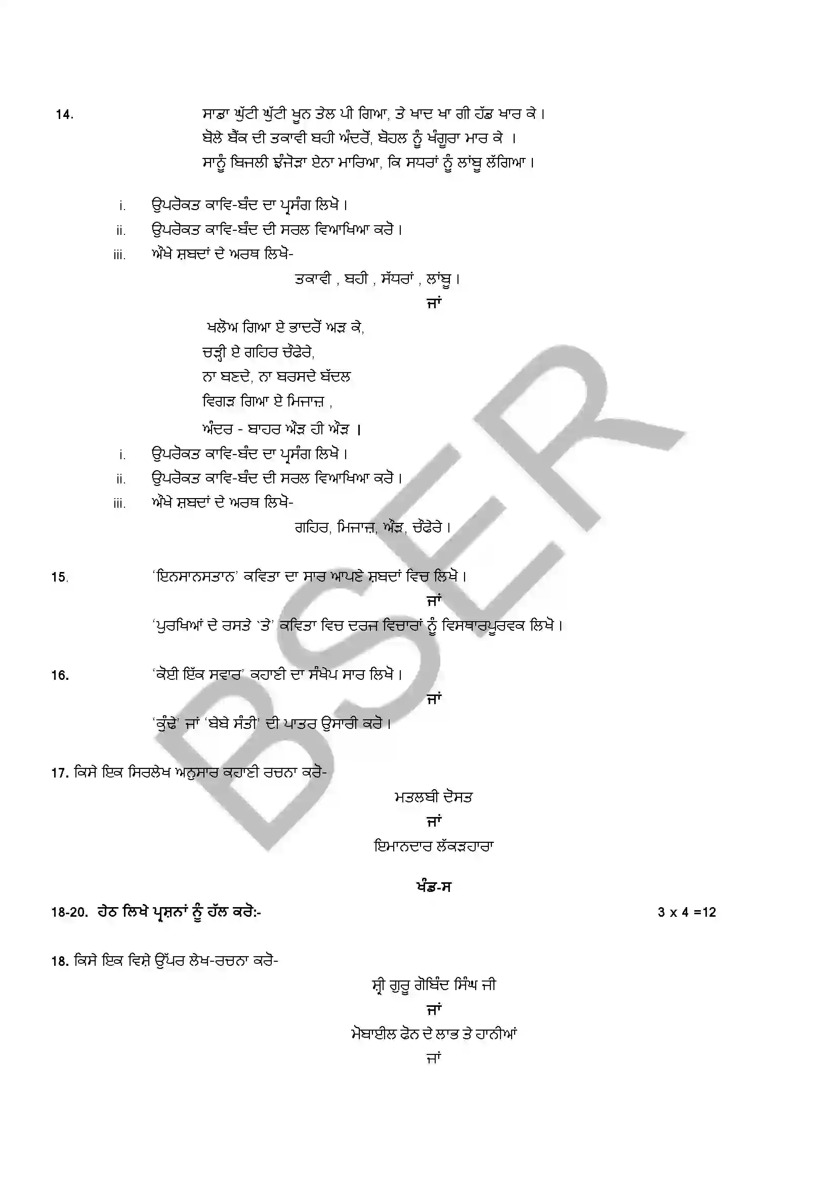 RBSE Class 12th 2025 Punjabi Literature (Opt. Subject) Sample Papers 7