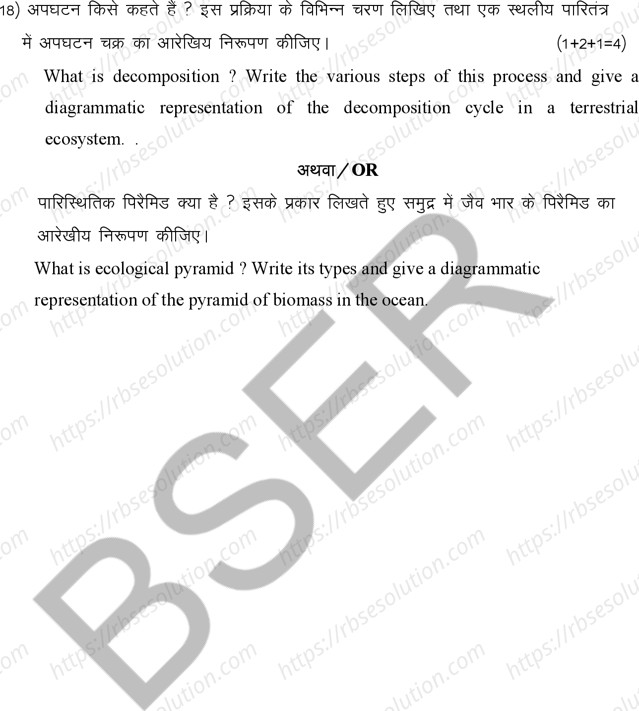 RBSE Class 12th 2026 Biology Sample Papers 12