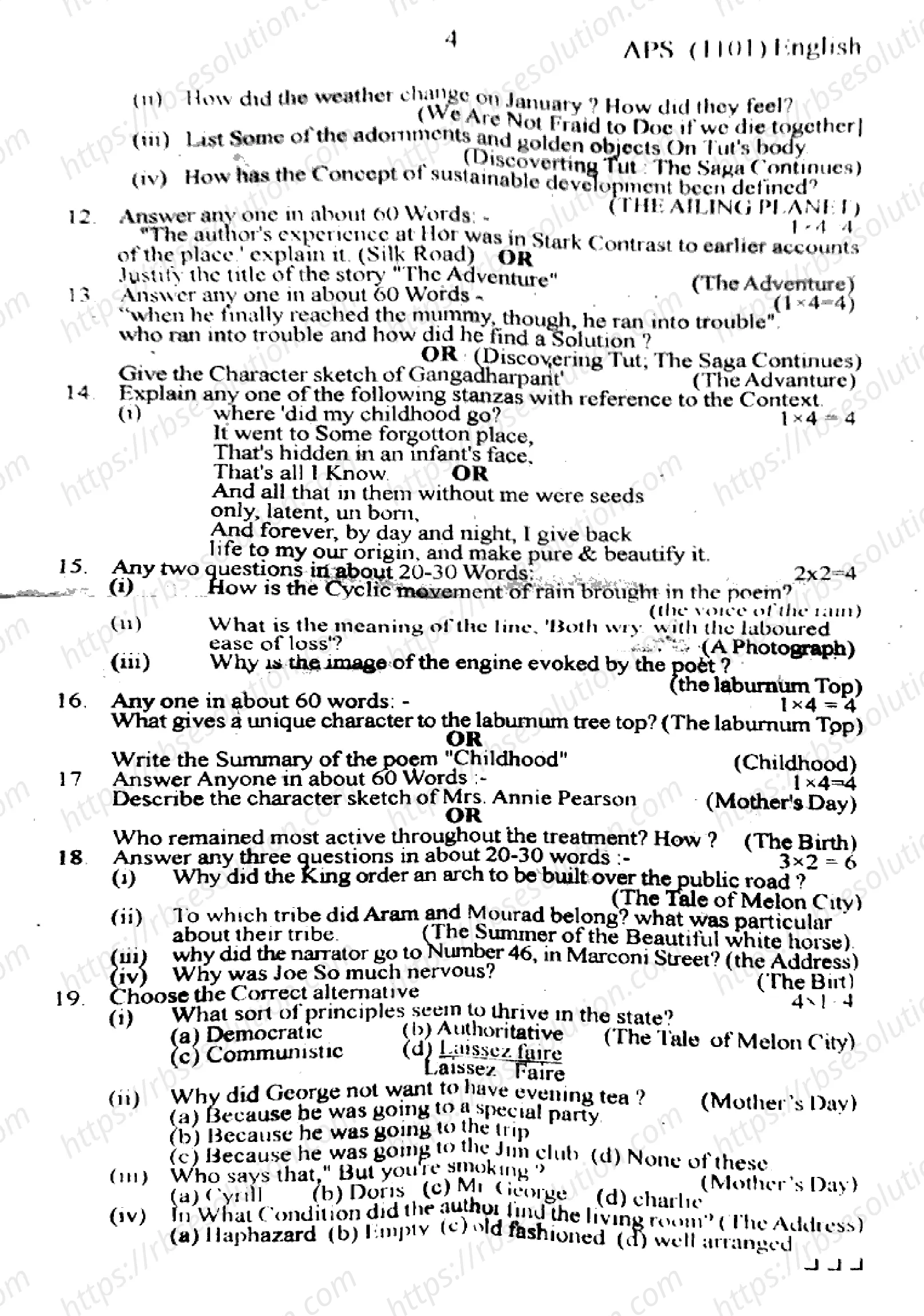RBSE Class 11th 2024 English-APS (1101)-2024 Previous Year Papers 3