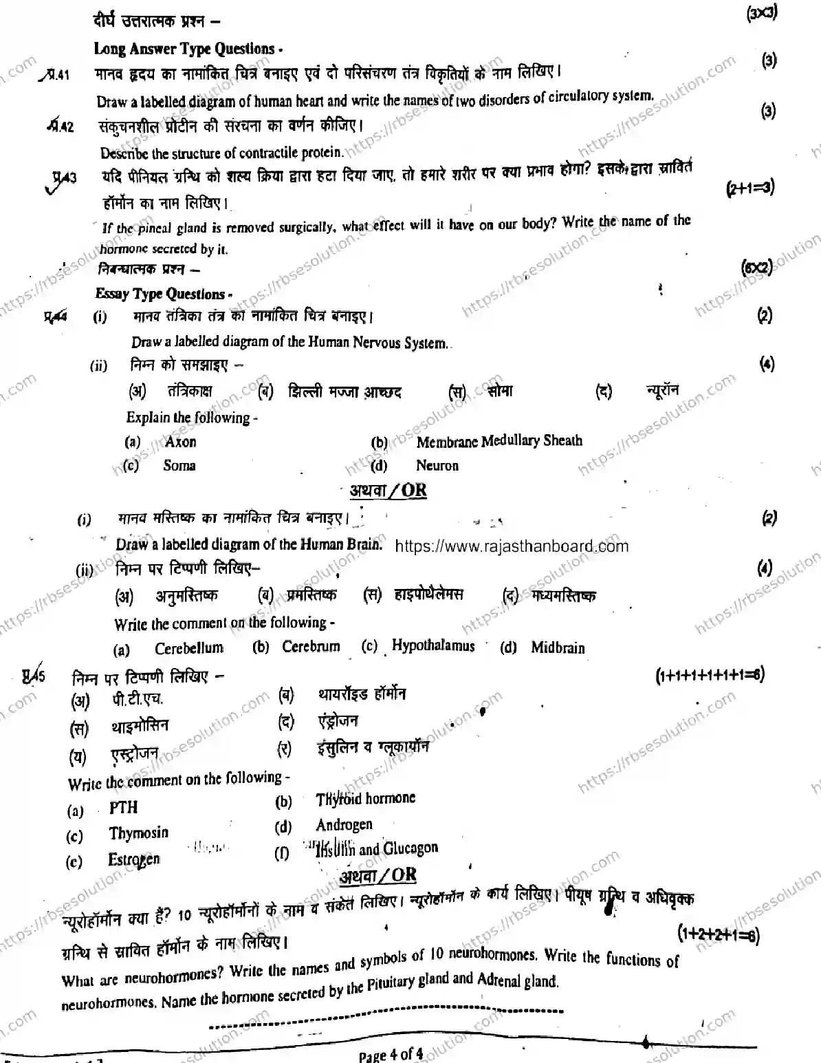 RBSE Class 11th 2026 BIOLOGY-1127 Previous Year Papers 3
