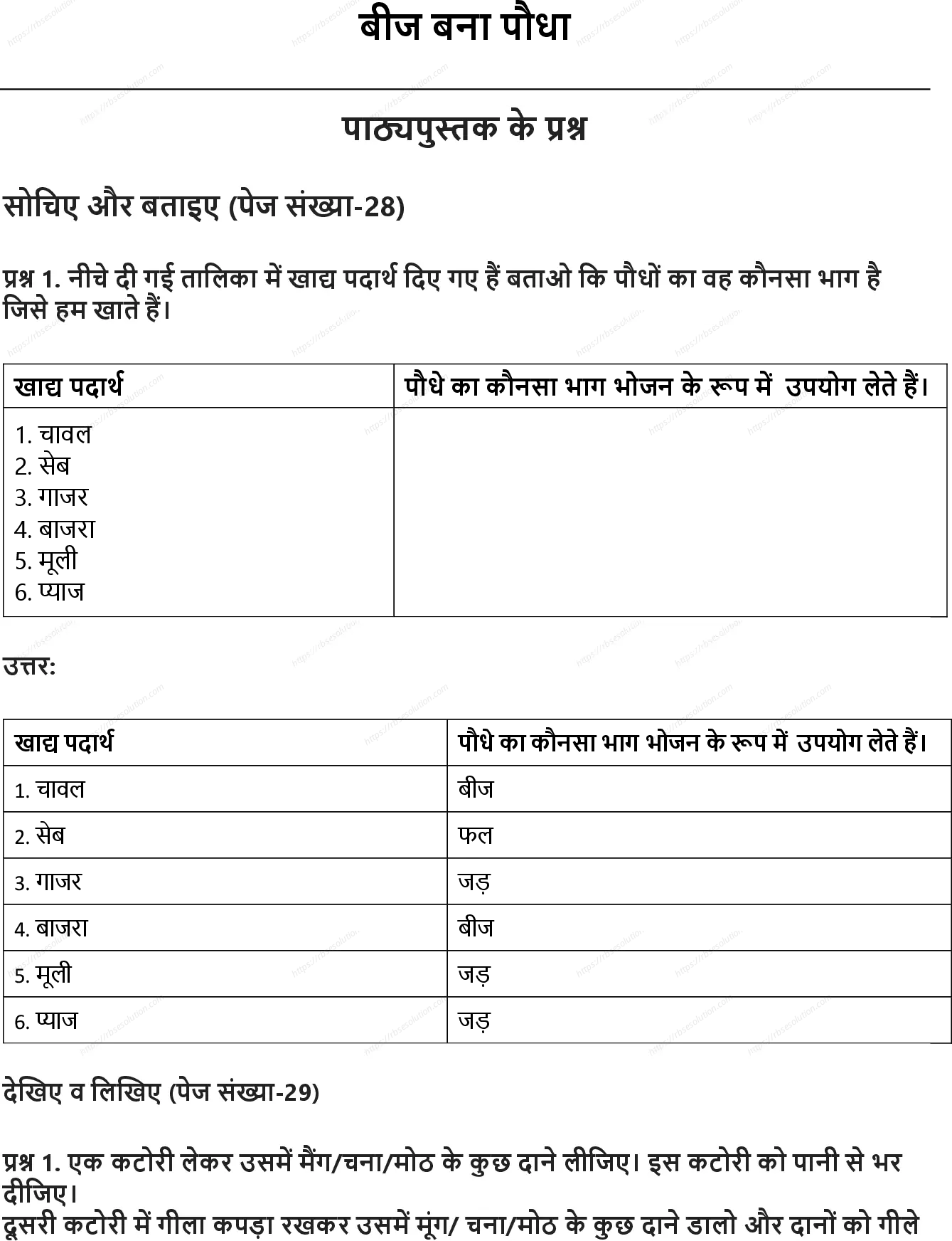 RBSE Class 5th पर्यावरण अध्ययन बीज बना पौधा Solutions 0